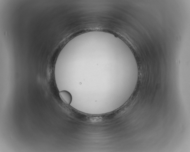 X0000112430355200908211205