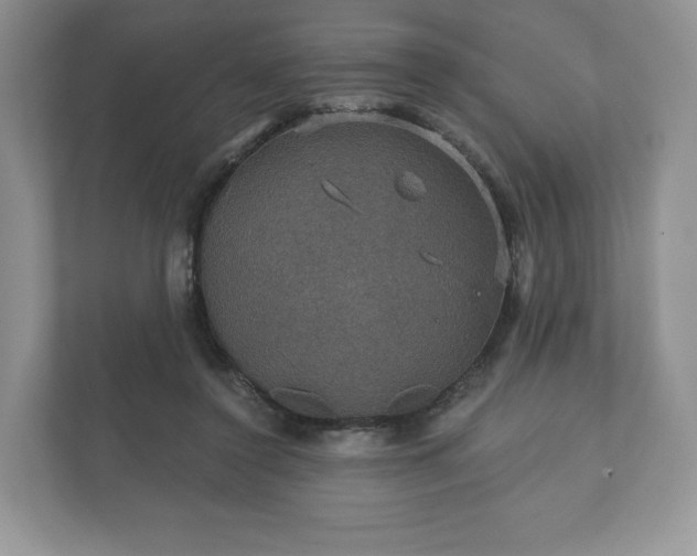 X0000112430356200908211205