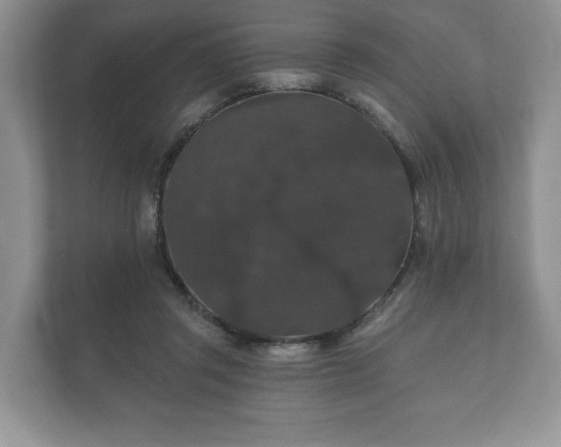 X0000112430357200908211205