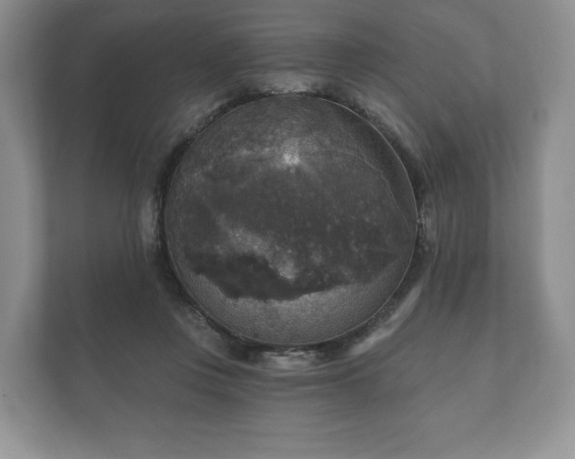X0000112430359200908211205