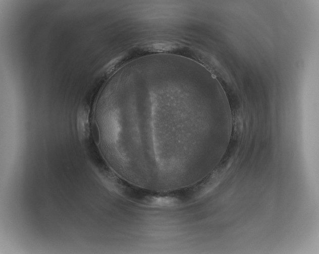X0000112430360200908211205
