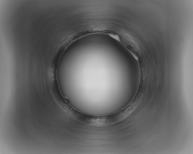 X0000112430362200908211205