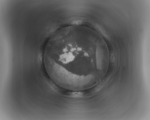 X0000112430363200908211205
