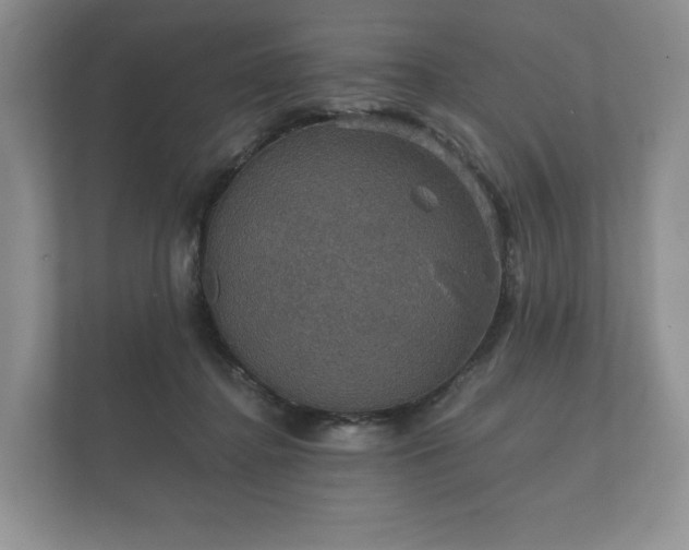 X0000112430364200908211205