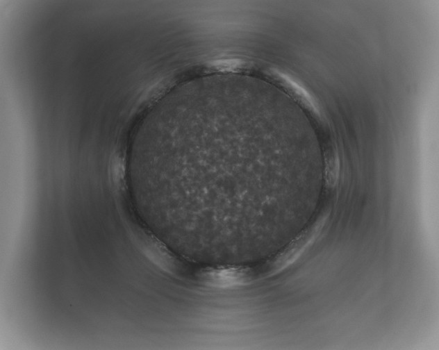 X0000112430365200908211205