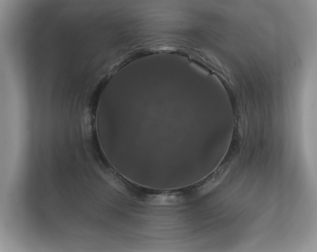 X0000112430366200908211205