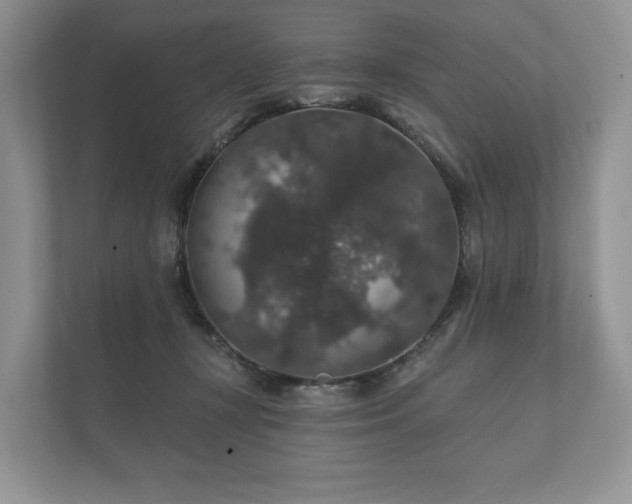 X0000112430367200908211205