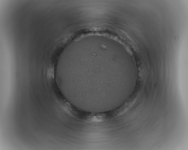X0000112430368200908211205