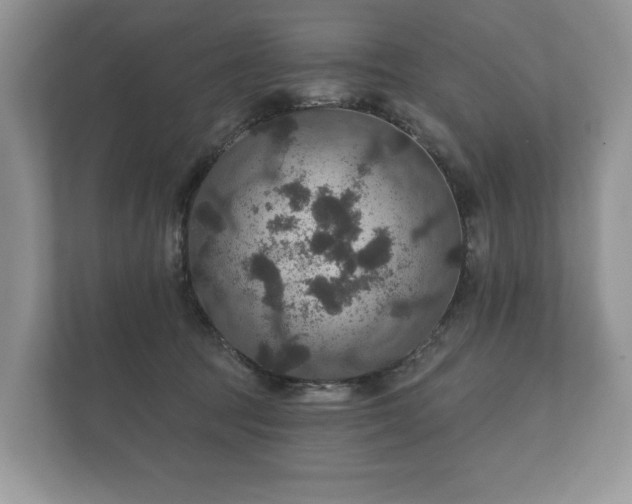 X0000112430369200908211205