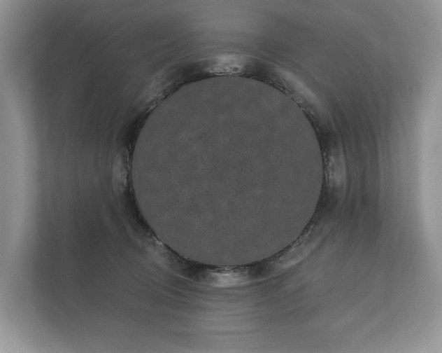 X0000112430370200908211205