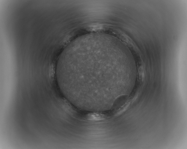X0000112430372200908211205