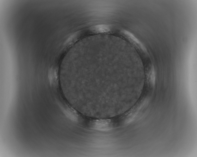 X0000112430373200908211205