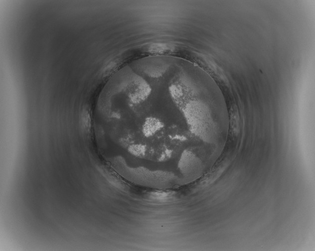 X0000112430375200908211205