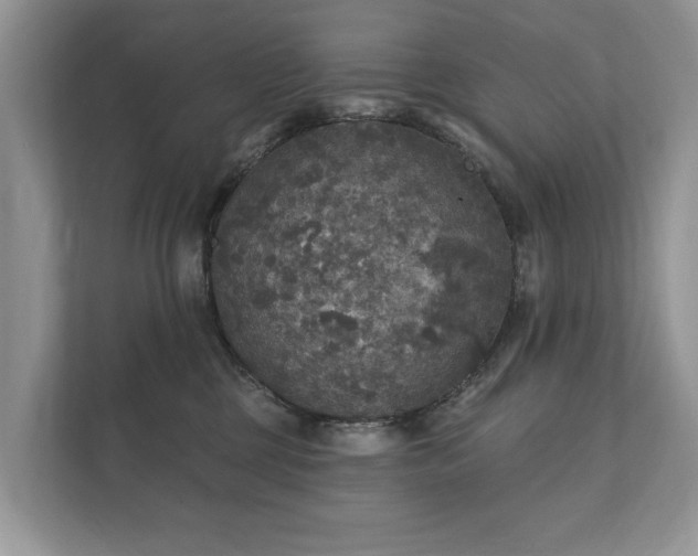 X0000112430377200908211205