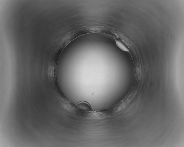 X0000112430379200908211205