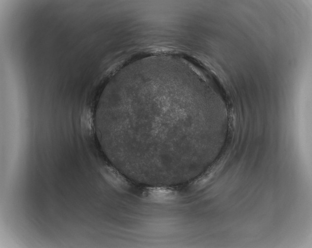 X0000112430380200908211205