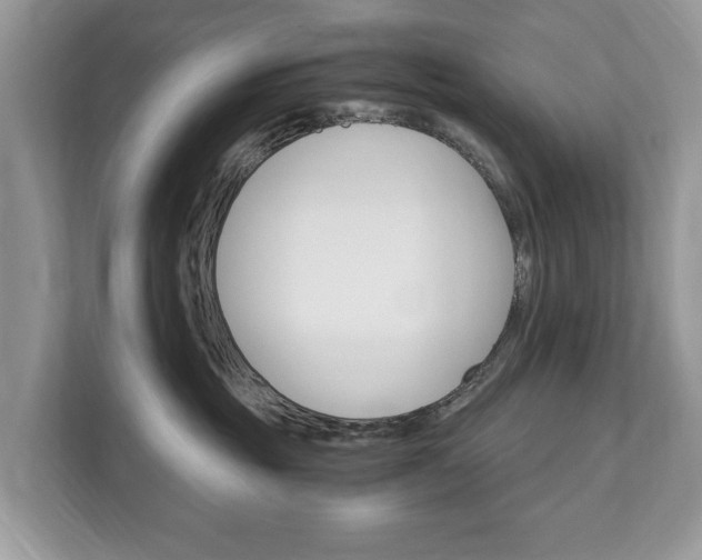 X0000112430381200908211205
