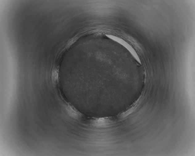 X0000112430382200908211205