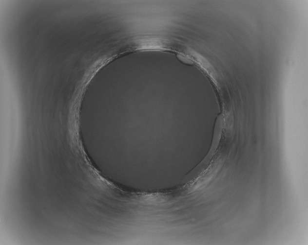 X0000112430385200908211205