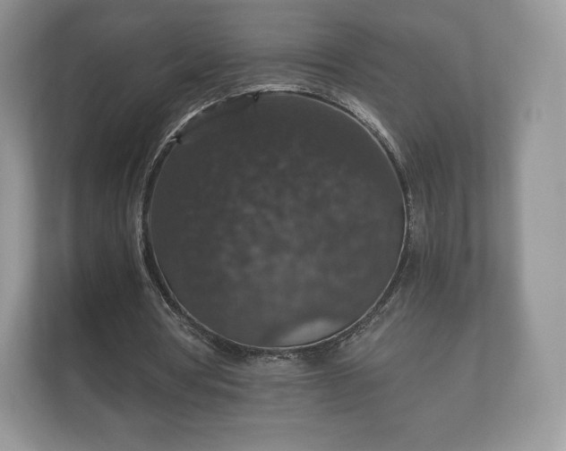 X0000112430386200908211205