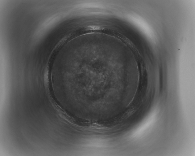 X0000112430387200908211205