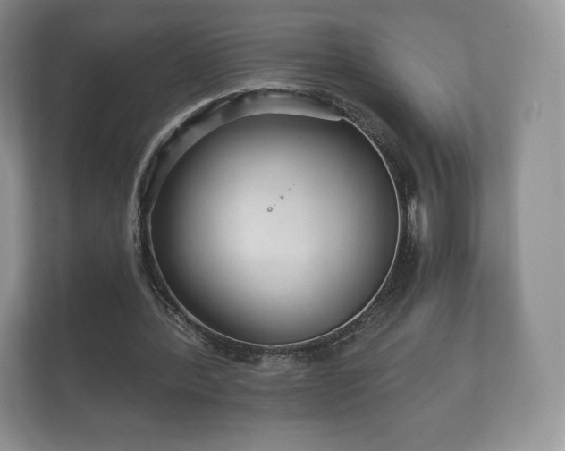 X0000112430388200908211205