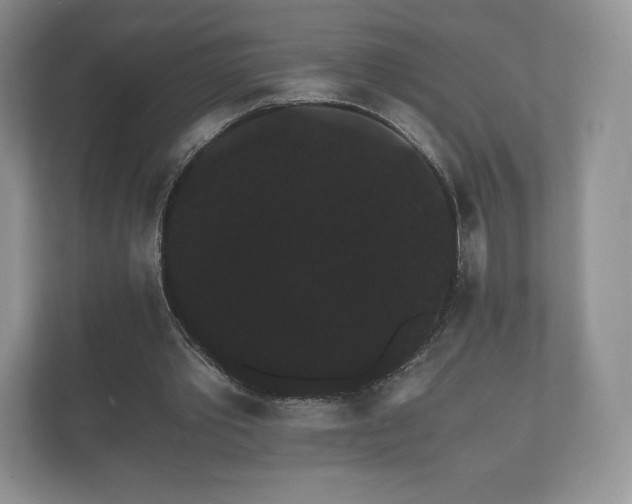 X0000112430389200908211205