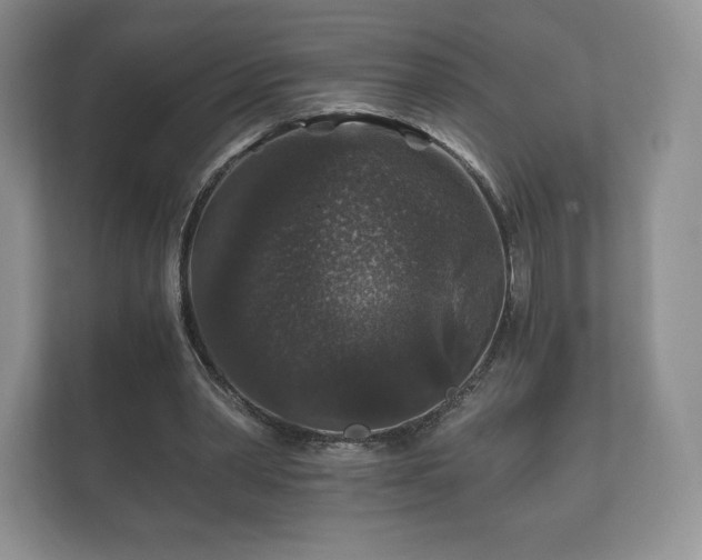 X0000112430390200908211205