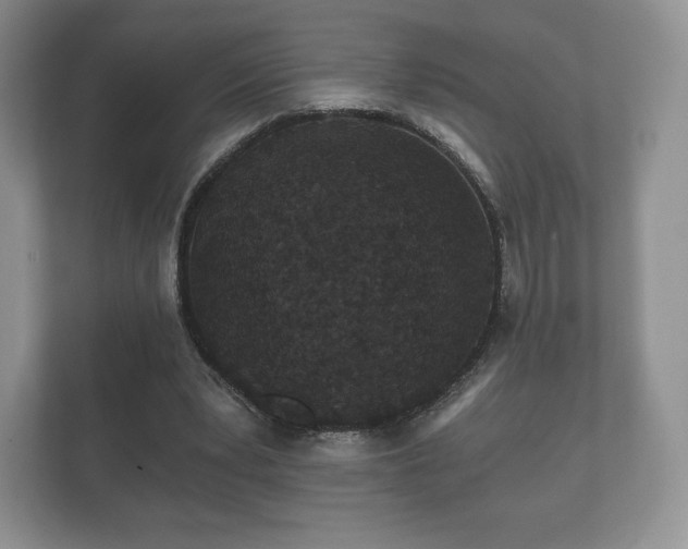 X0000112430391200908211205