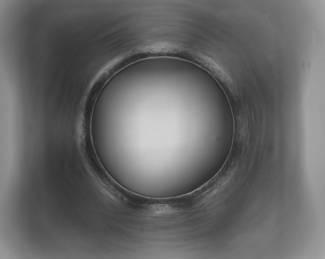 X0000112430392200908211205