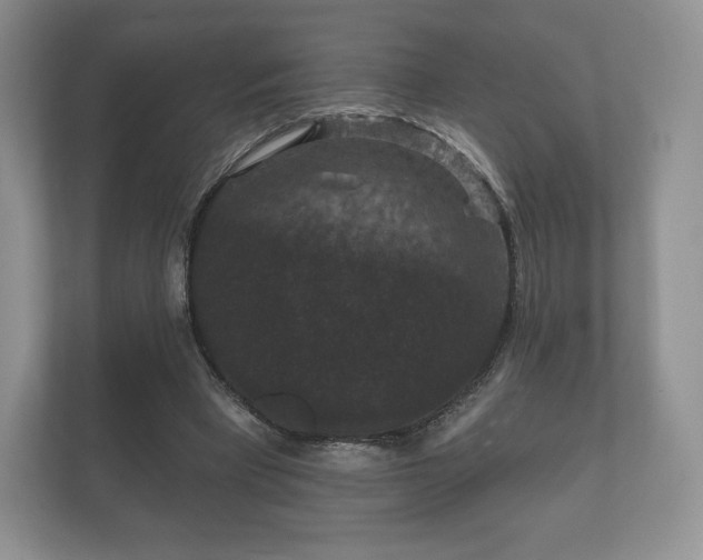 X0000112430393200908211205