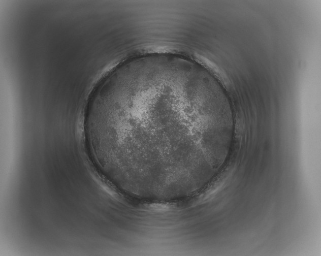 X0000112430394200908211205