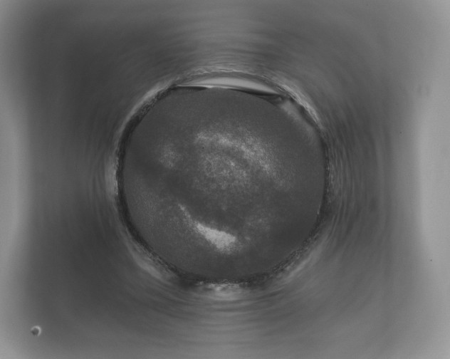 X0000112430395200908211205