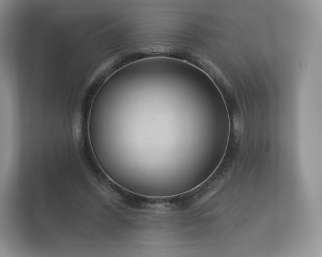 X0000112430396200908211205