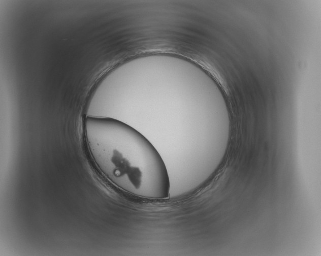 X0000112430397200908211205
