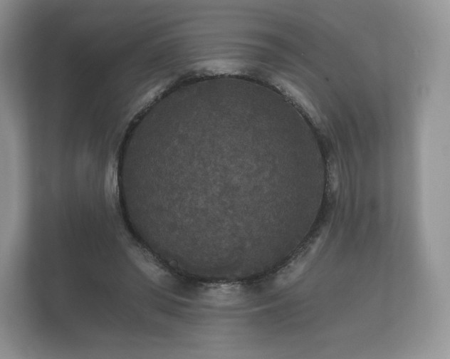 X0000112430398200908211205