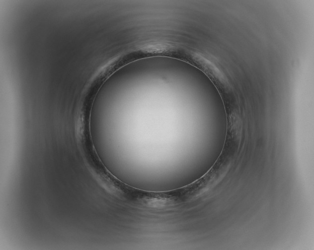 X0000112430400200908211205