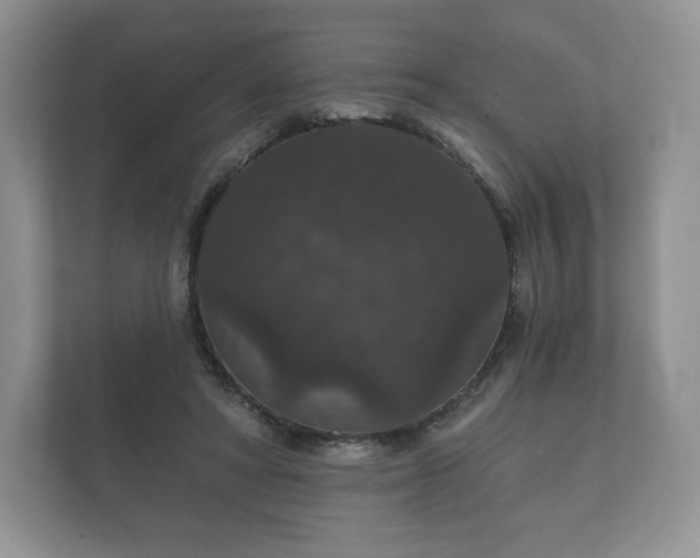 X0000112430402200908211205