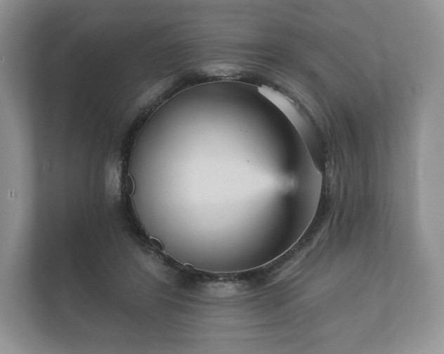 X0000112430404200908211205