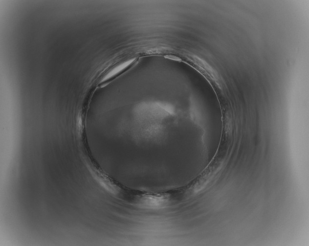X0000112430405200908211205