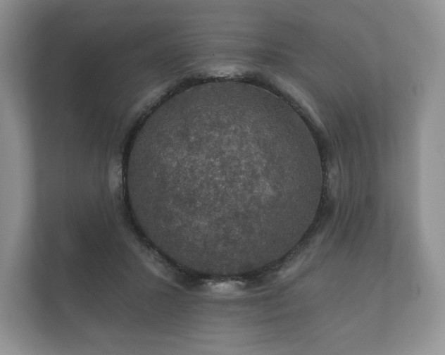 X0000112430407200908211205