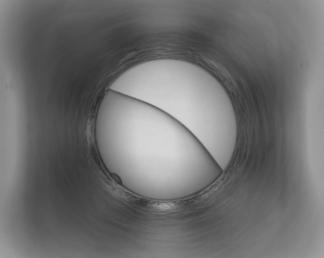 X0000112430409200908211205
