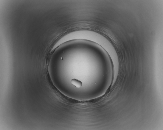X0000112430411200908211205