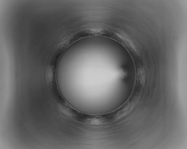 X0000112430412200908211205