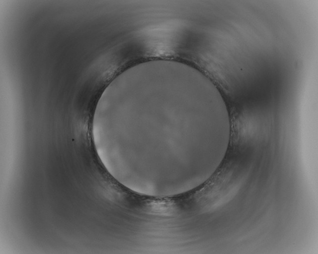 X0000112430415200908211205