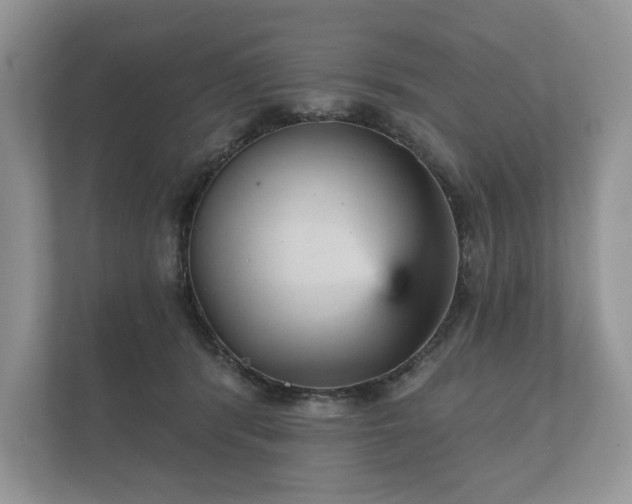X0000112430416200908211204
