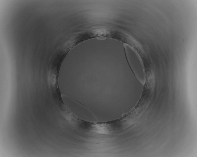 X0000112430417200908211204