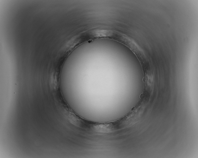X0000112430422200908211204