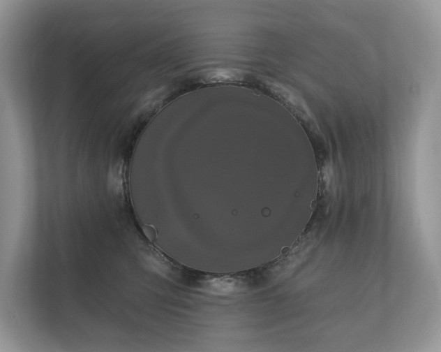 X0000112430423200908211204