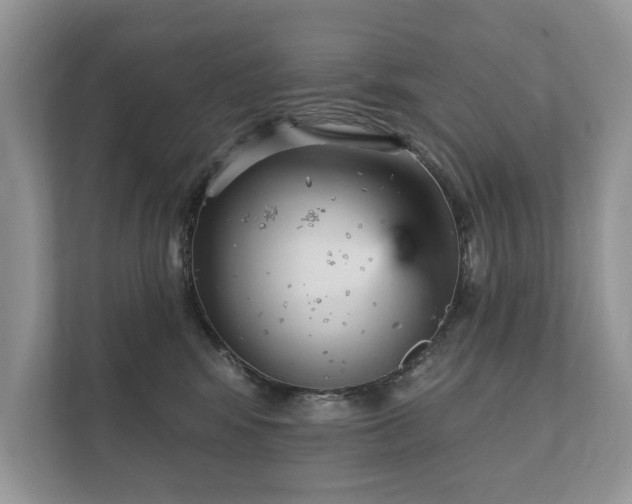 X0000112430424200908211204